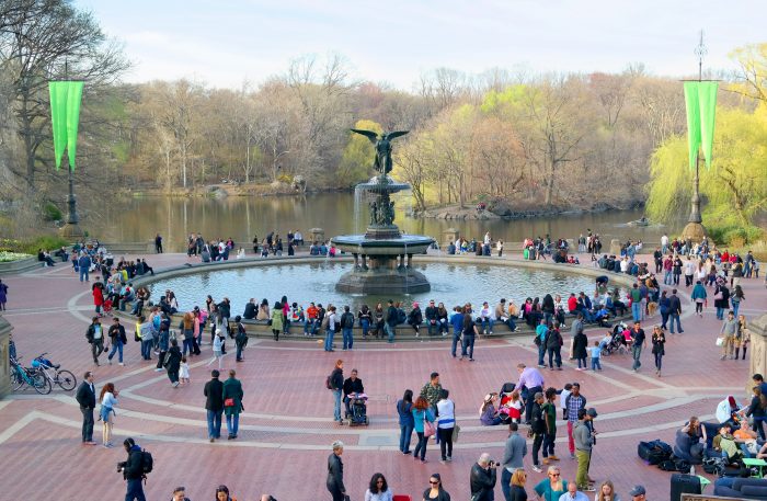 nyc-central-park-pexels-photo-270186 nyc-central-park-pexels-photo-270186