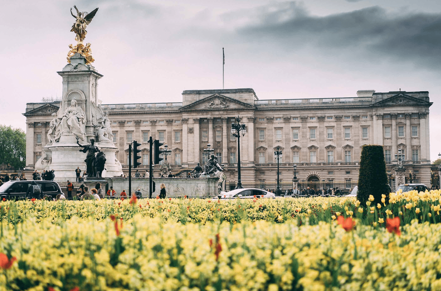 Screen Shot 2019-08-20 at 3.25.46 PM