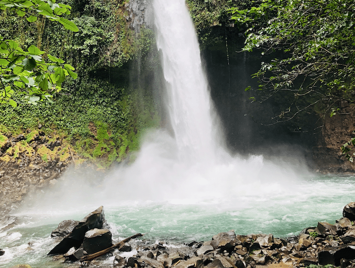 Screen Shot 2019-08-20 at 3.29.11 PM