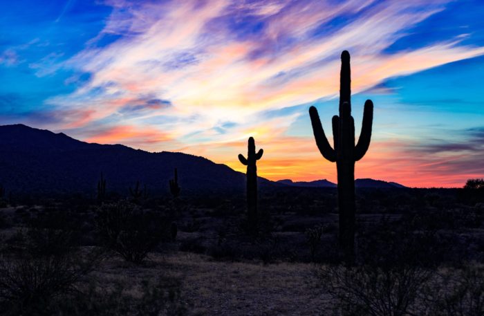 (USA-AZ-Phoenix)tom-gainor-7hwF_T-1YPg-unsplash (USA-AZ-Phoenix)tom-gainor-7hwF_T-1YPg-unsplash