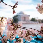 (USA-DC)grant-czerwinski-1481983-unsplash